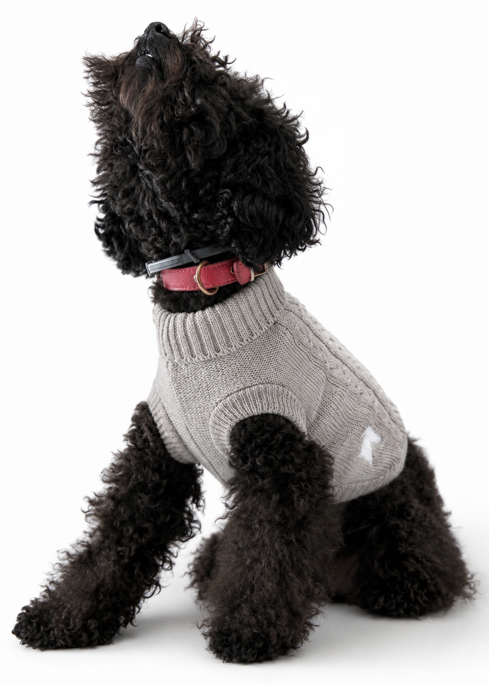 Greyford Knit Ceniza